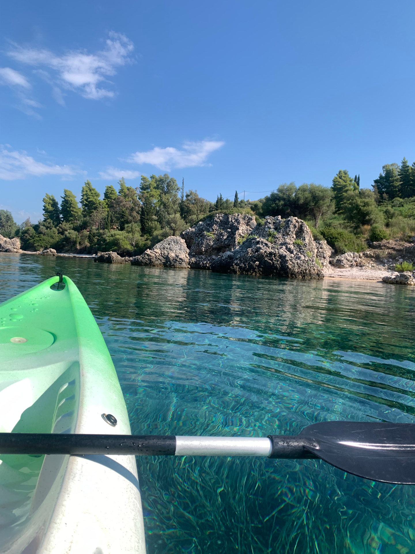 Kayak Tours